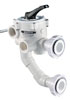 17-175 - Sta-Rite 2" multiport rotary