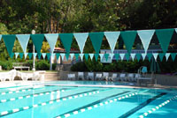 53-020 - Champion backstroke pennants